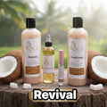 Revival Coco Capeli